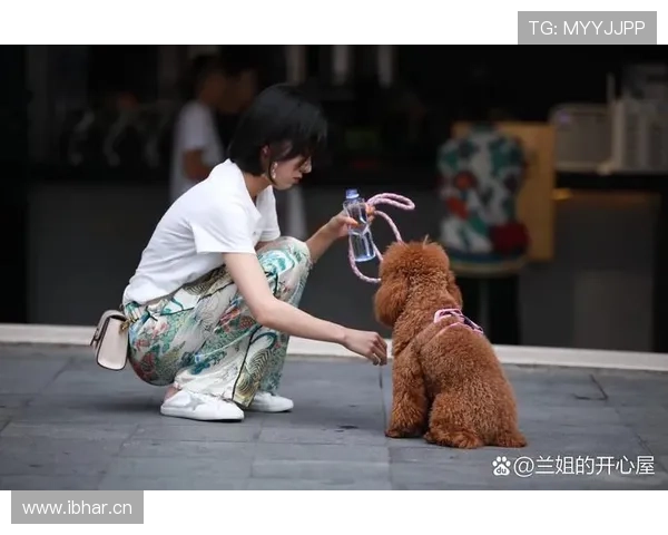 张琳芃家的狗都比我会养生