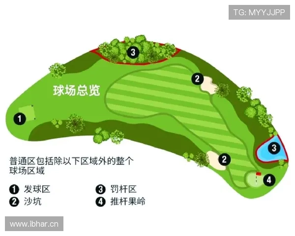 挑战判罚规则是什么？权威解读其判定标准与球场影响